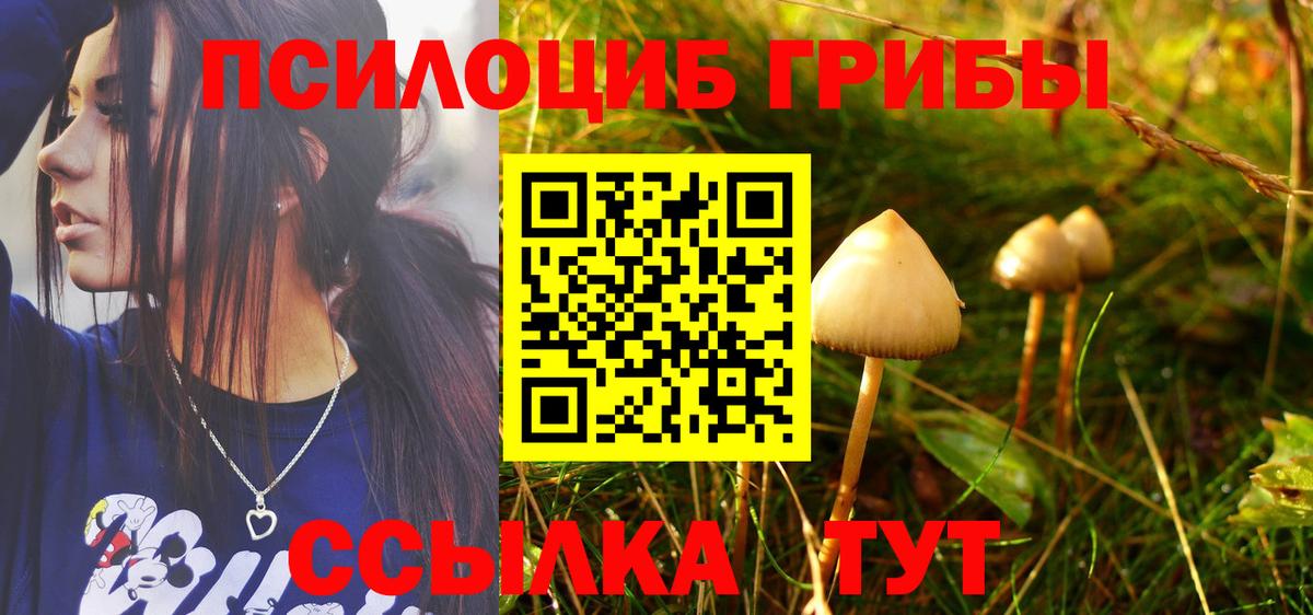 Шали  Галлюциногенные грибы прущие грибы  Вход с VPN 