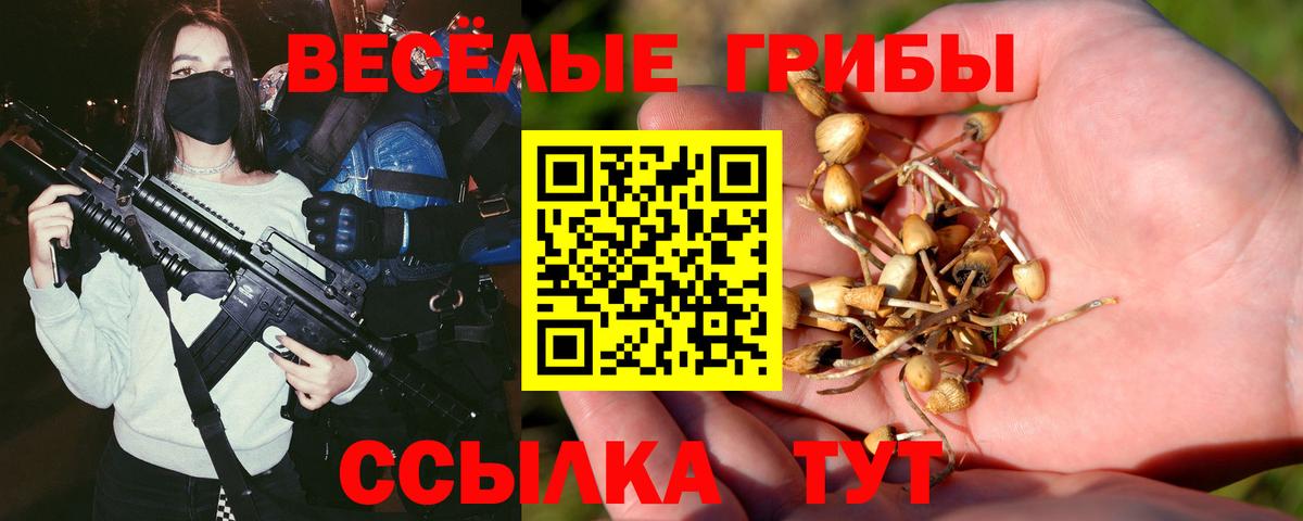 Псилоцибиновые грибы Psilocybe Шали